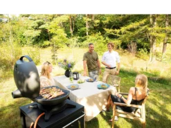 Morsø Forno Piccolo Gasgrill DK -Køkkenmaskiner Butik 201006 env 2 2301 high scaled