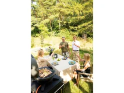 Morsø Forno Piccolo Gasgrill DK -Køkkenmaskiner Butik 201006 env 3 2301 high scaled