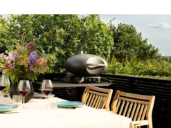 Morsø Forno Grande Gasgrill DK -Køkkenmaskiner Butik 201007 env 2 2301 high scaled