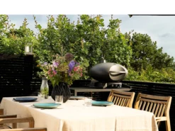 Morsø Forno Grande Gasgrill DK -Køkkenmaskiner Butik 201007 env 3 2301 high scaled