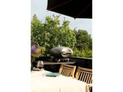 Morsø Forno Grande Gasgrill DK -Køkkenmaskiner Butik 201007 env 4 2301 high scaled